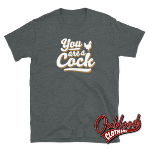 You Are A Cock T-Shirt - Rude Tshirts Uk Style Dark Heather / S